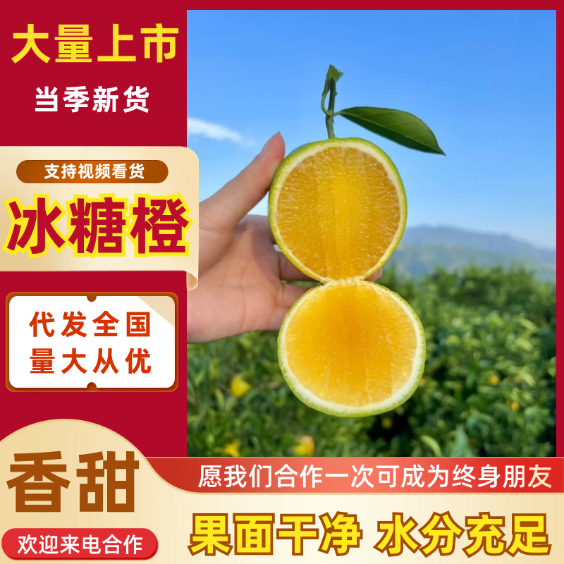 【海量货源】云南冰糖橙基地直供支持视频和实地看货