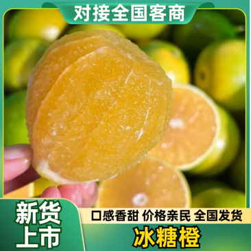 【热卖中】冰糖橙云南正宗冰糖橙果园直发量大从优