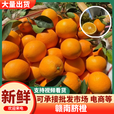 【放心购买】赣南脐橙江西赣南脐橙品质保证欢迎下单