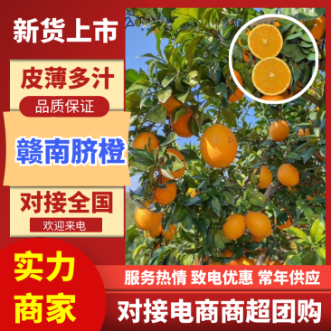 【江西赣南脐橙】基地直供可视频和实地看货代发全国市场