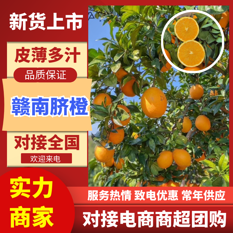 【江西赣南脐橙】基地直供可视频和实地看货代发全国市场
