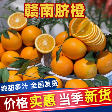 【源头货】江西赣南脐橙供应市场电商商超保障售后