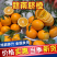 【源头货】江西赣南脐橙供应市场电商商超保障售后