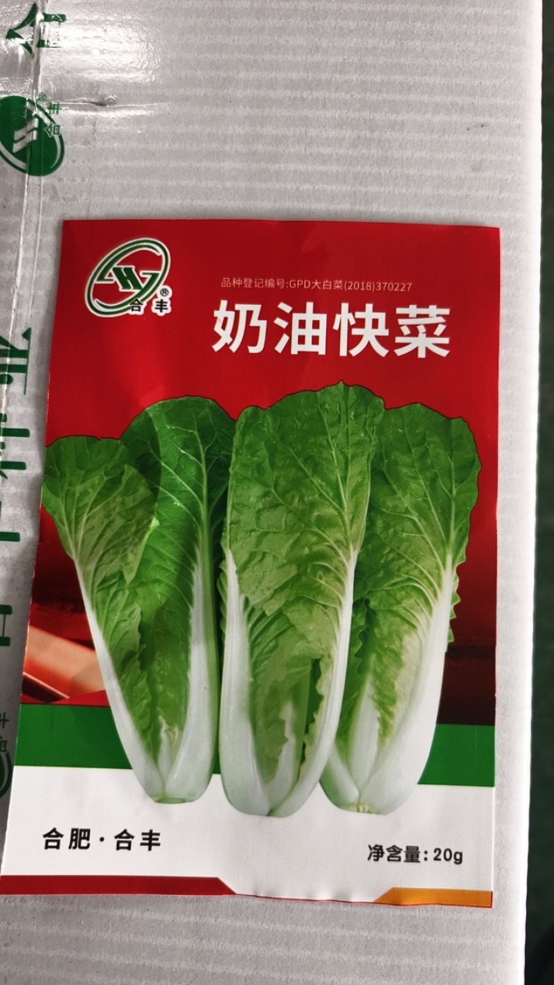 四季奶油快菜种子速生优选当季新种