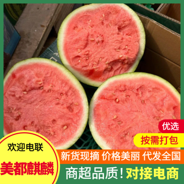 美都西瓜产地大量现货供应,现摘现发,品质保证代发全国