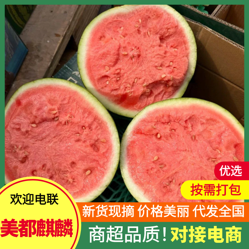 美都西瓜产地大量现货供应，现摘现发，品质保证代发全国