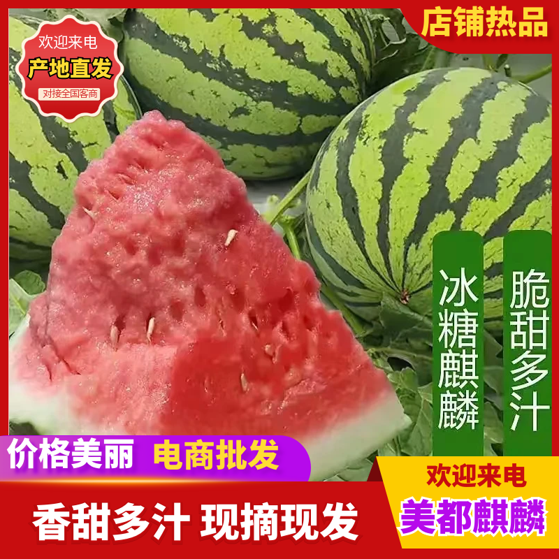 麒麟美都西瓜云南西瓜产地一手货源，规格齐全，代发全国