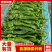 山东省临沂兰陵螺丝椒大量有货了，色泽鲜艳。个头均匀，