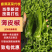 山东精品薄皮椒芜湖椒，产地现货，新鲜色泽鲜艳，供货全国市场