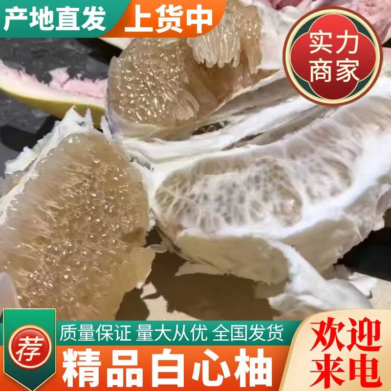 福建白柚精品白心柚对接电商市场商超一手货源