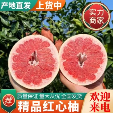 福建柚子精品红心柚对接电商市场商超全国发货