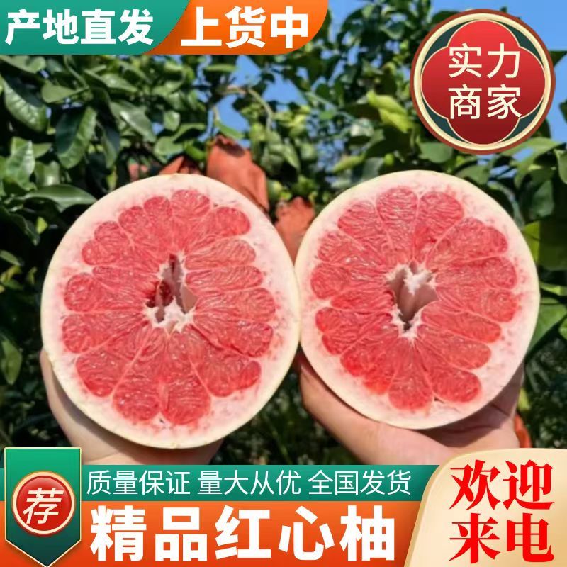 福建柚子精品红心柚对接电商市场商超全国发货