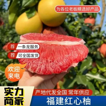 福建平和产地精品红心柚对接电商市场商超可视频