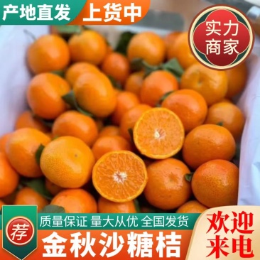 好货推荐砂糖橘沙糖桔对接市场电商商超大量供应