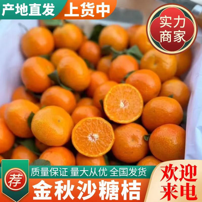 好货推荐砂糖橘沙糖桔对接市场电商商超大量供应