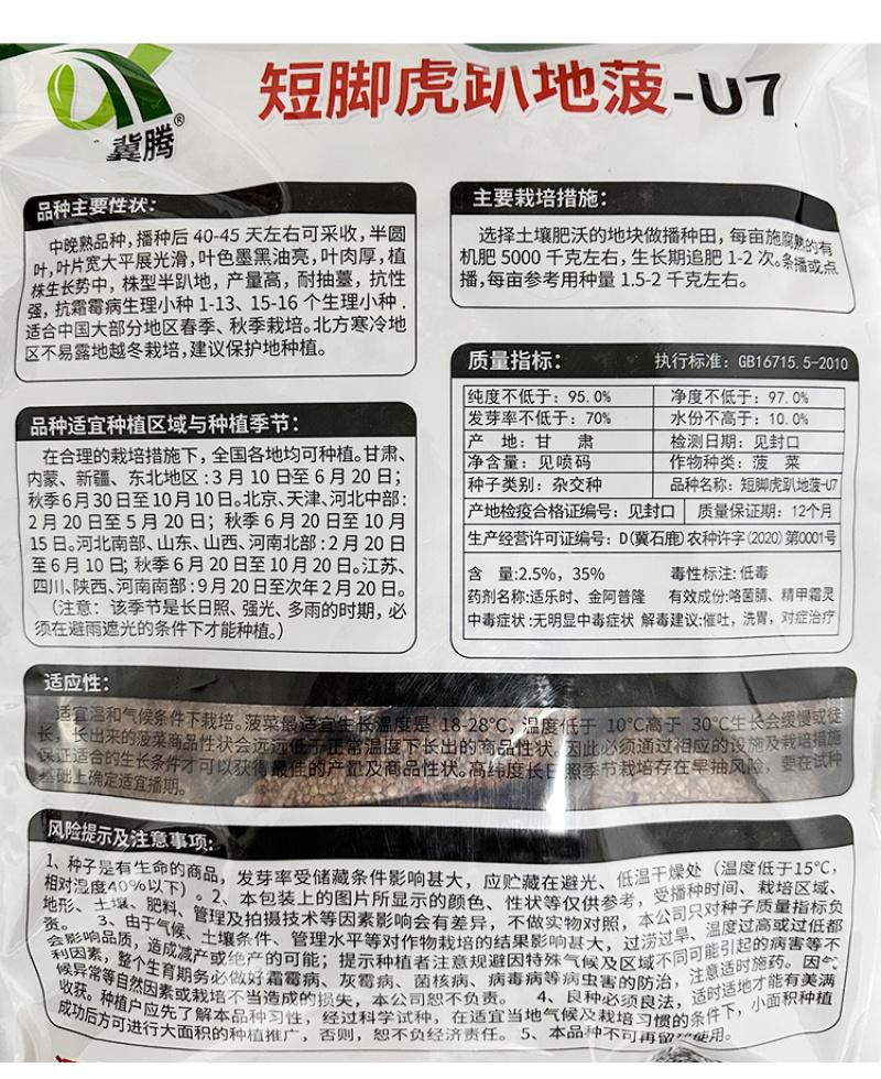 短脚虎趴地菠菜种子5斤肉菠菜种子高产墨黑油亮耐抽苔