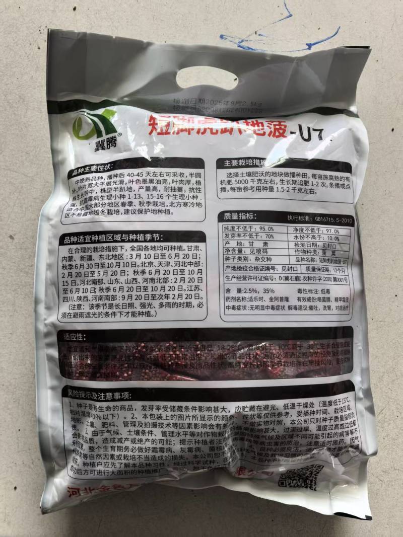 短脚虎趴地菠菜种子5斤肉菠菜种子高产墨黑油亮耐抽苔