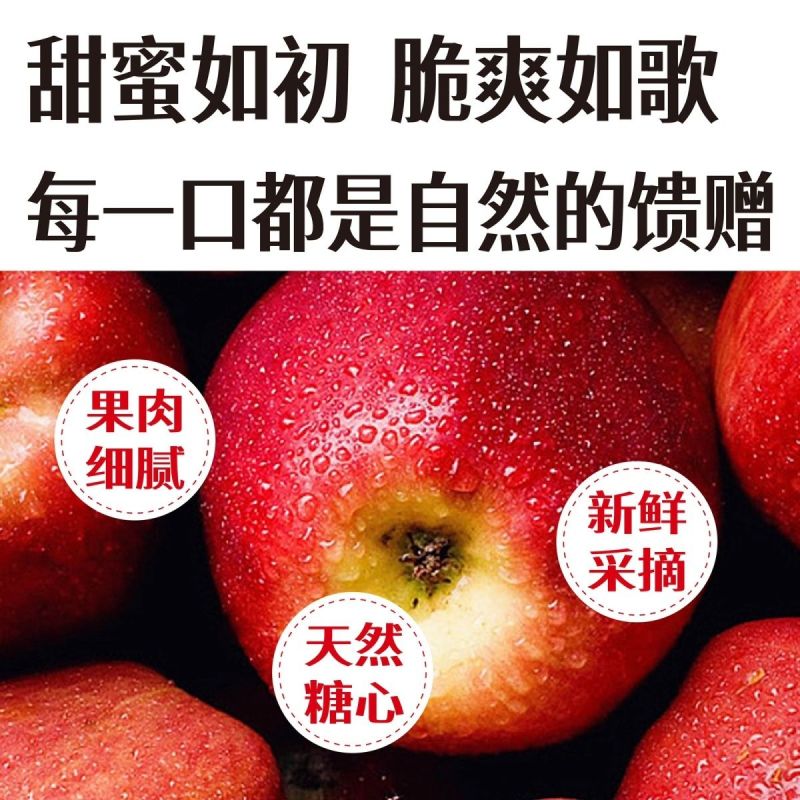 陕西中卫冰糖心红富士一件代发