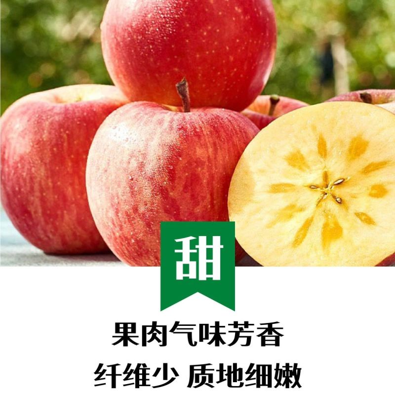 陕西中卫冰糖心红富士一件代发