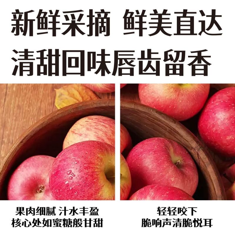 陕西中卫冰糖心红富士一件代发