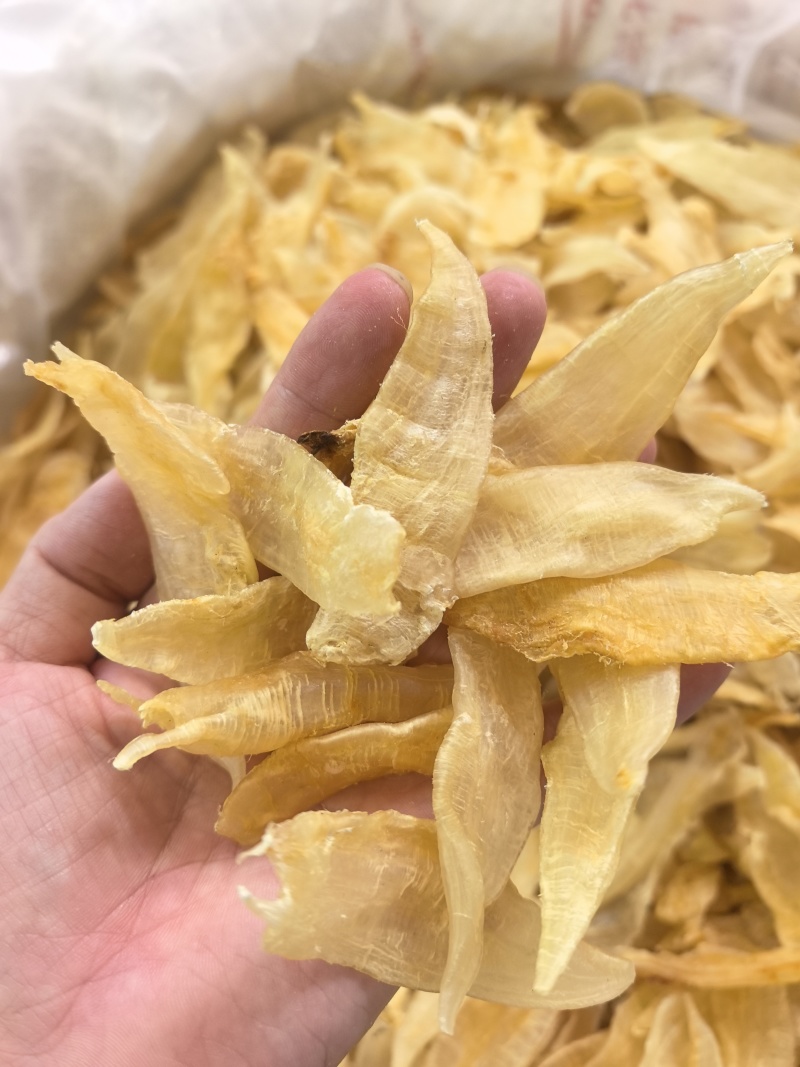 【整箱批发】鮸鱼胶花胶干货厂家直供量大价优欢迎咨询选购
