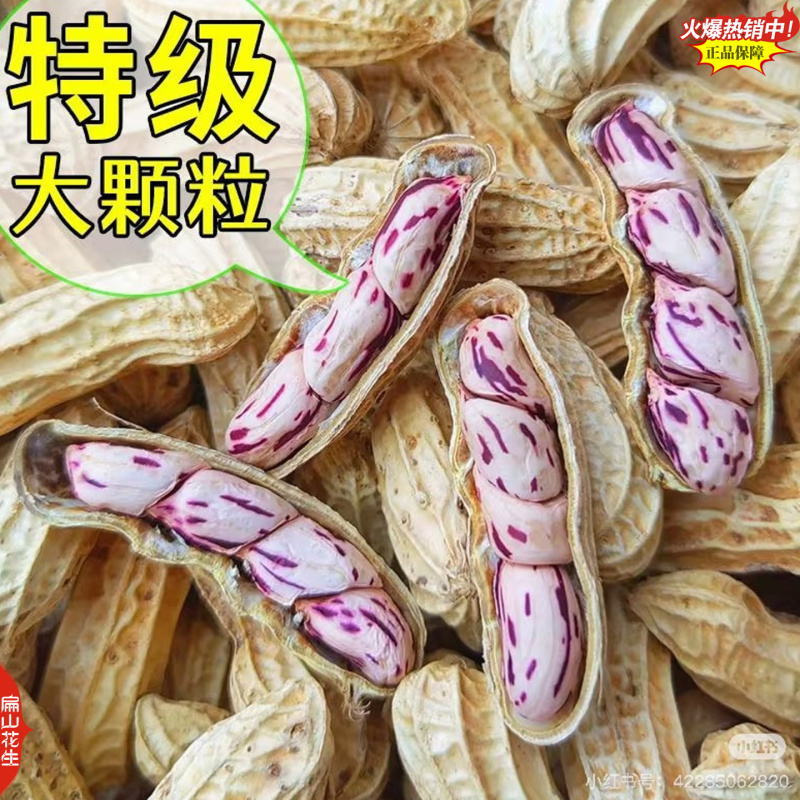 2025年货龙岩红皮花生七彩花生黑皮花生厂家工厂
