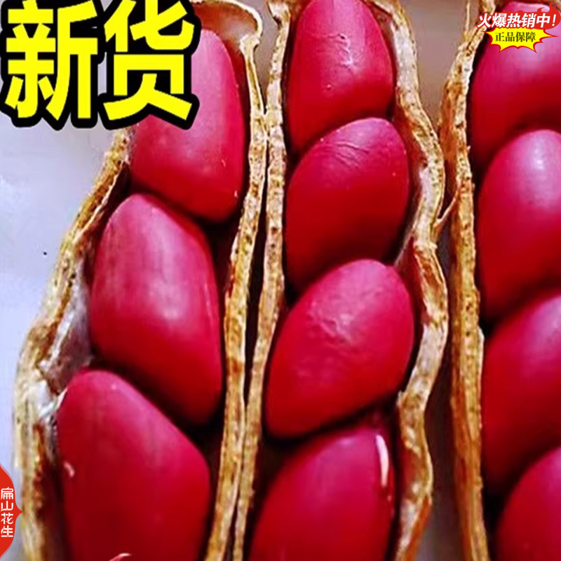 2025新鲜花生龙岩湿烤七彩花生厂家福建生花生加工花