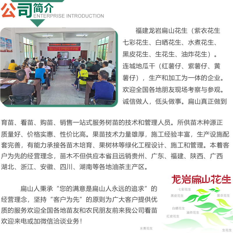 2025新鲜花生龙岩湿烤七彩花生厂家福建生花生加工花