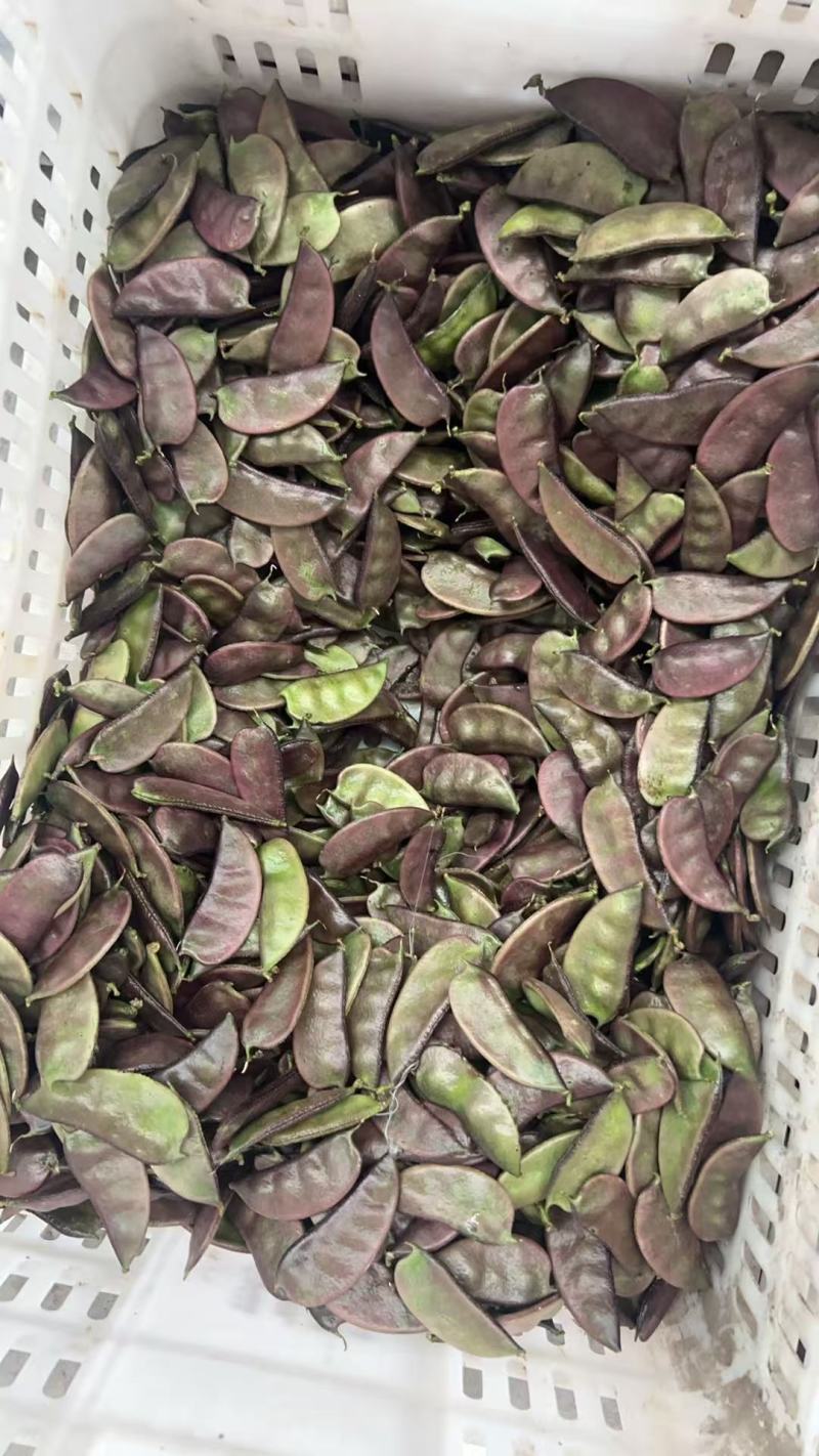 红扁豆品质保证产地直发价格优惠实力商家诚信经营