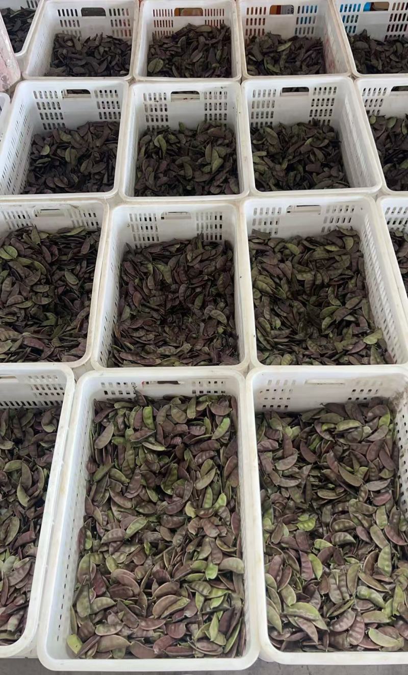 红扁豆品质保证产地直发价格优惠实力商家诚信经营