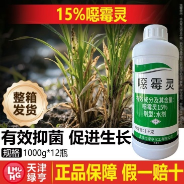 整箱天津绿亨15%甲霜霉灵水稻小麦立枯病霜霉病疫霉病农药