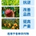 彤林深海鱼蛋白有机水溶肥天然有机无机质提高蔬果品质