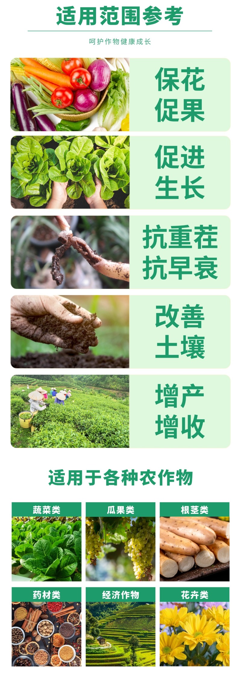 彤林大豆蛋白菌有机水溶肥生根壮根保花促花改良土壤