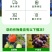 彤林大量元素水溶肥8-5-42高钾型果树蔬菜肥