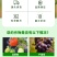 彤林大量元素水溶肥15-5-35高钾型水果蔬菜膨果上色