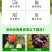 彤林大量元素水溶肥19-19-19平衡型通用肥保花促果