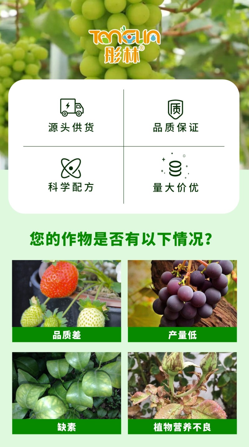 彤林大量元素水溶肥19-19-19平衡型通用肥保花促果