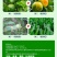 彤林大量元素水溶肥10-46-10高磷型果树花芽分化