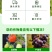 彤林大量元素水溶肥28-12-12瓜果蔬菜肥膨果