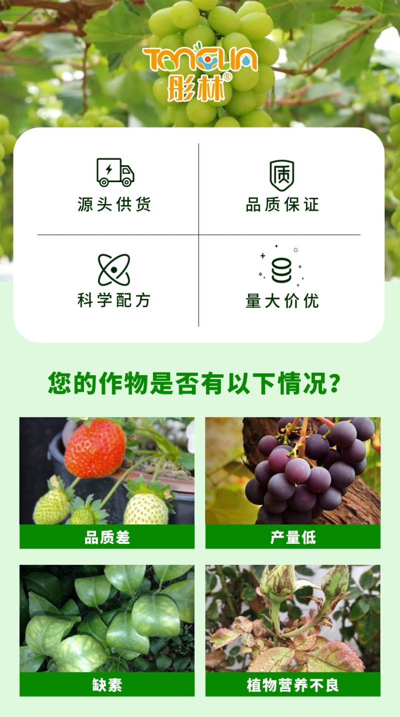 彤林大量元素水溶肥28-12-12瓜果蔬菜肥膨果