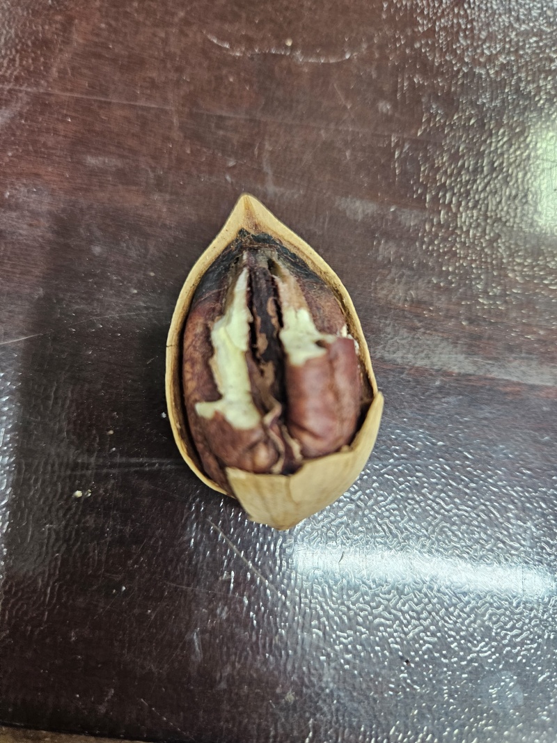 碧根果，电商货大量现货