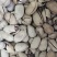 碧根果，电商货大量现货