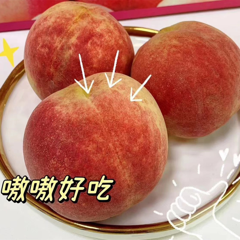 【蒙阴金秋红蜜毛桃】桃子非水蜜桃非黄桃非蟠桃5斤新鲜水果