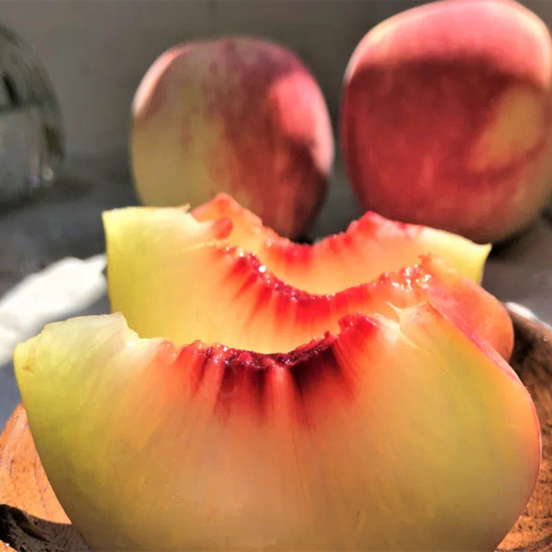 【蒙阴金秋红蜜毛桃】桃子非水蜜桃非黄桃非蟠桃5斤新鲜水果