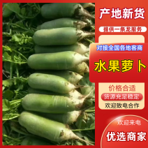 冰激凌，天星2号，水果萝卜
