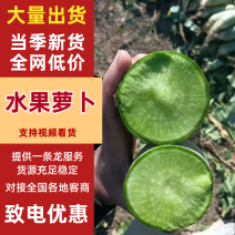 冰激淋水果萝卜口感脆甜，物美价廉，欢迎采购