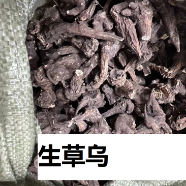 茶树根