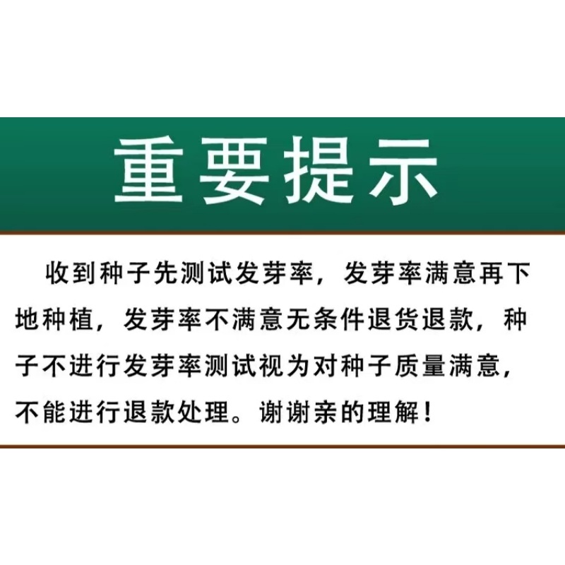 新北柴胡种子耐寒耐旱效益稳定包邮