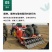 新北柴胡种子耐寒耐旱效益稳定包邮