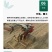 新北柴胡种子耐寒耐旱效益稳定包邮